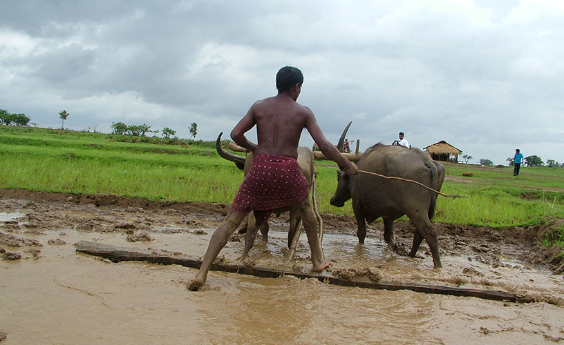 Farmer Empowerment